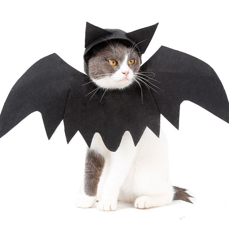 Disfraz de Murciélago con capucha para Gatos – Halloween Mascotas