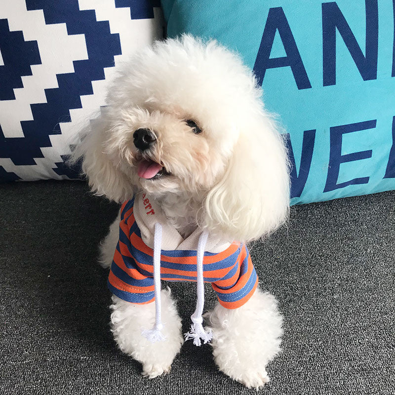 Pet striped sweater