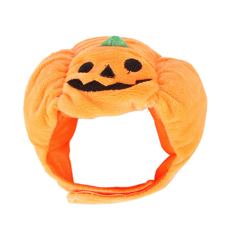 Sombrero de Calabaza para Mascotas - Especial Halloween