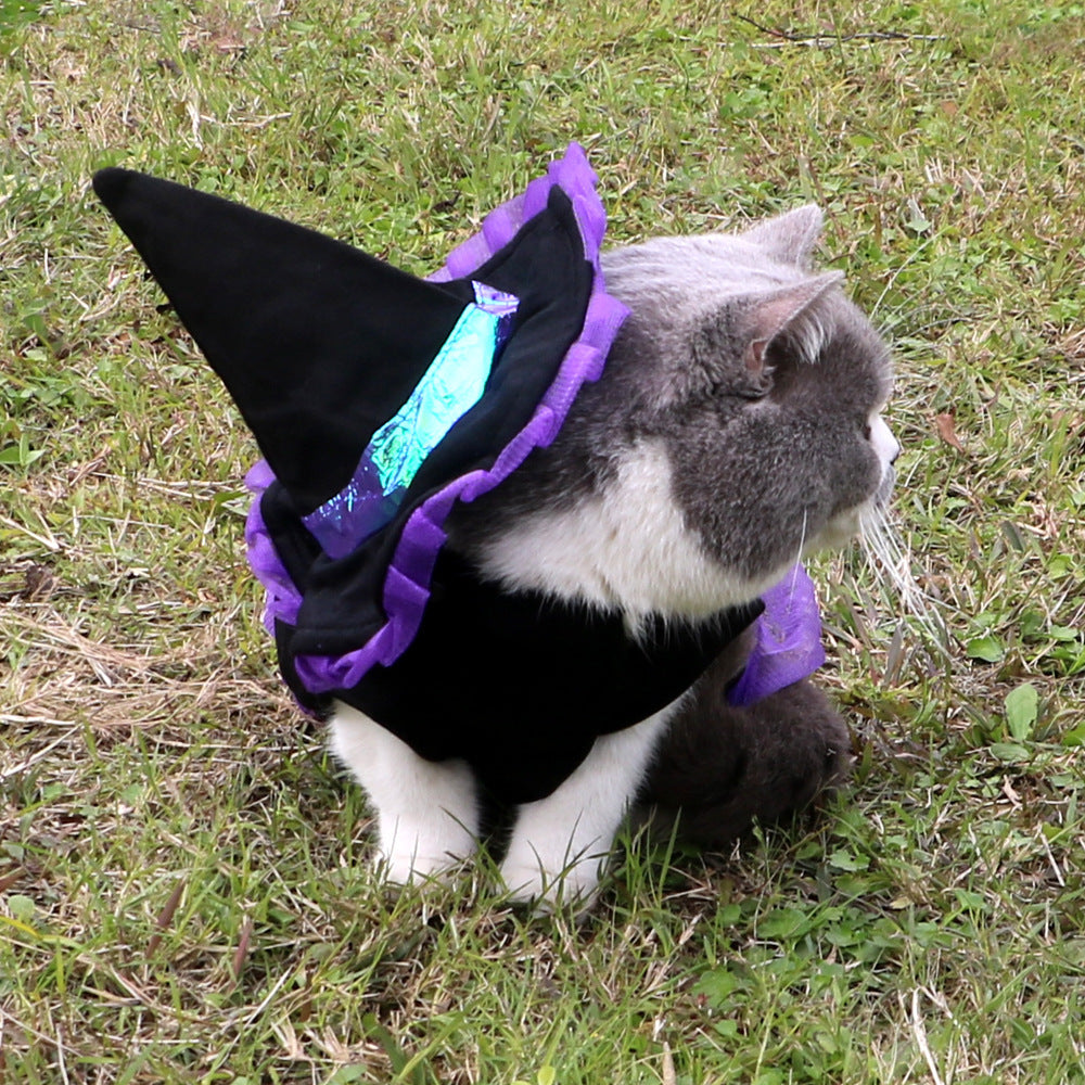 Disfraz de Brujita Morada para Mascotas - Halloween Gatos y Perros