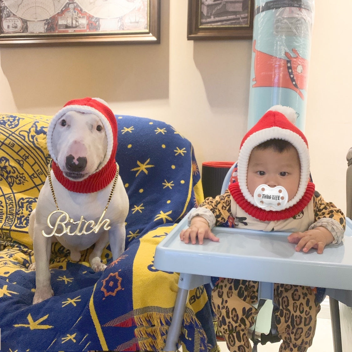 Fashion Simple Pet Autumn And Winter Woolen Hat