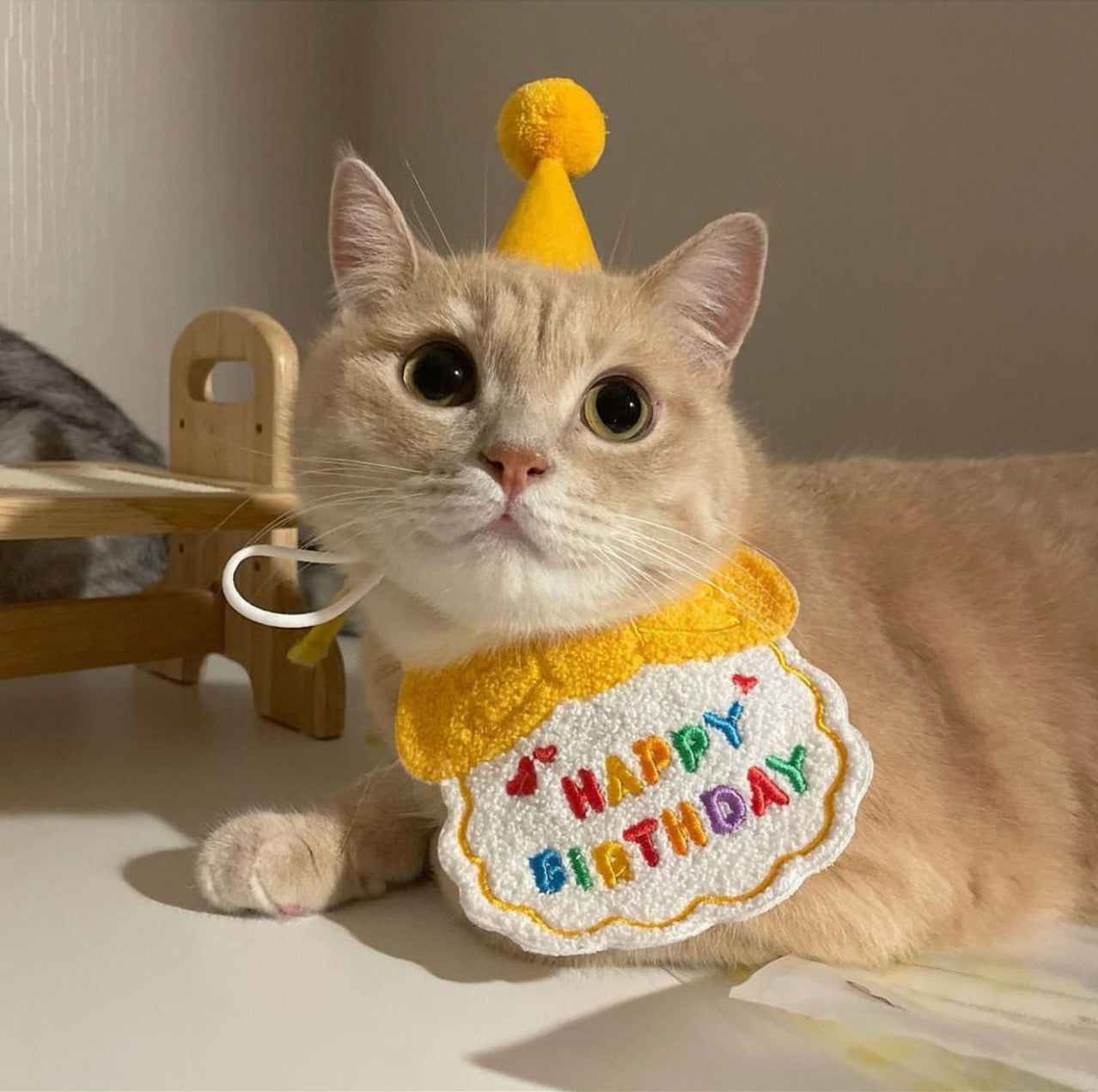 GARRA™ Fiestas y Celebraciones