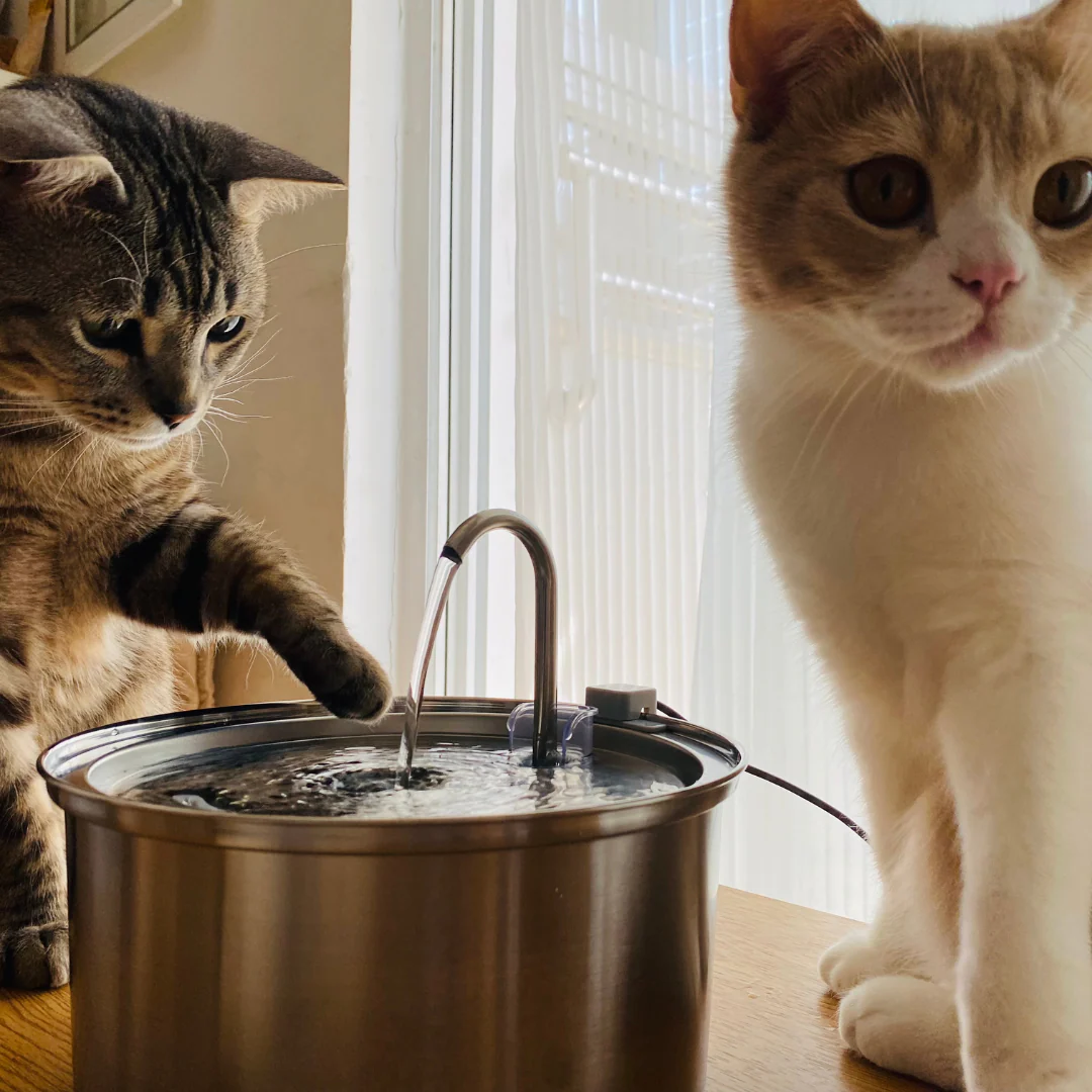 GARRA™ Food & Flow