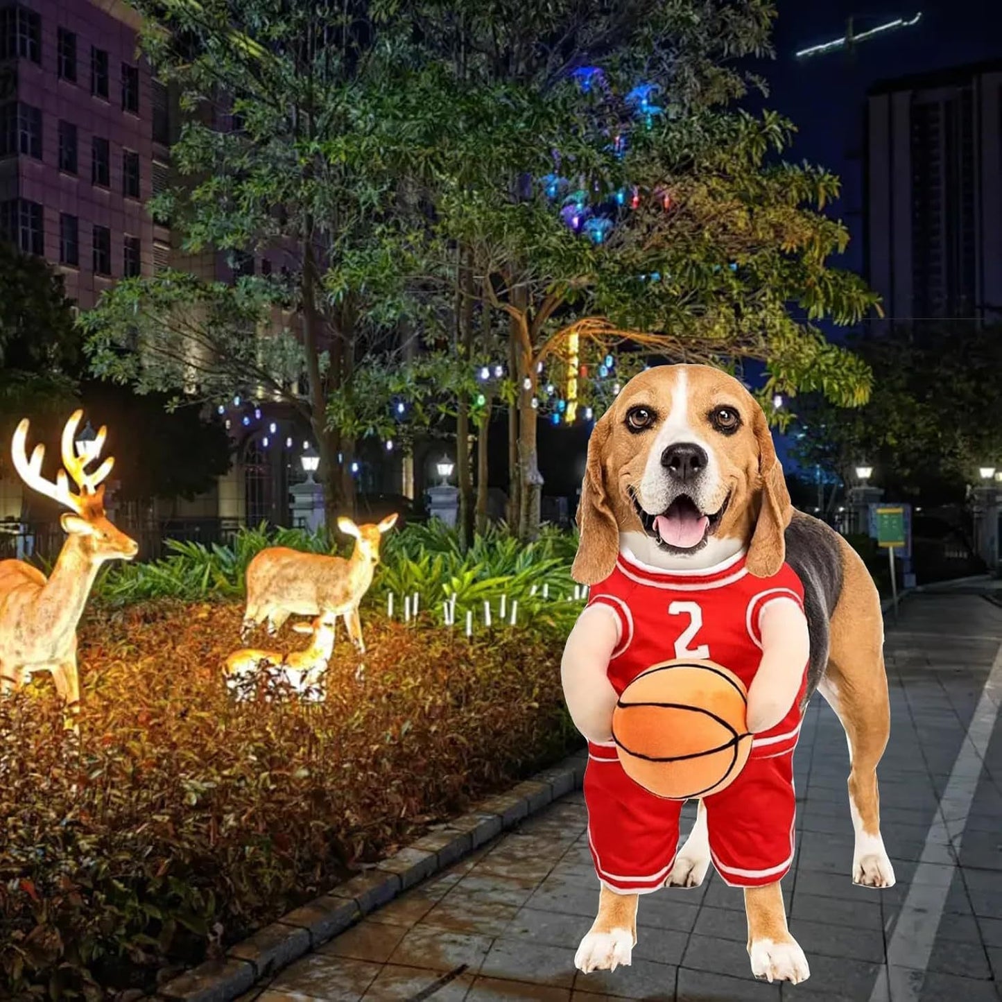 Disfraz de Jugador de Baloncesto para Perros - Halloween y Eventos