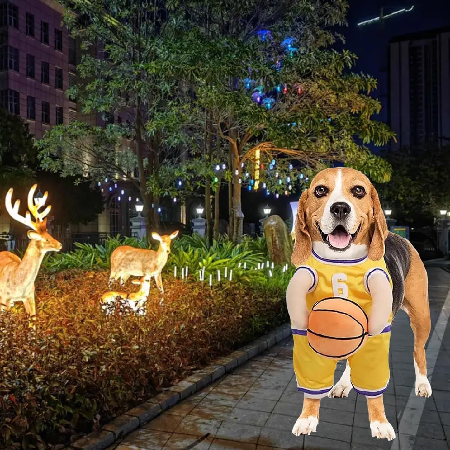 Disfraz de Jugador de Baloncesto para Perros - Halloween y Eventos
