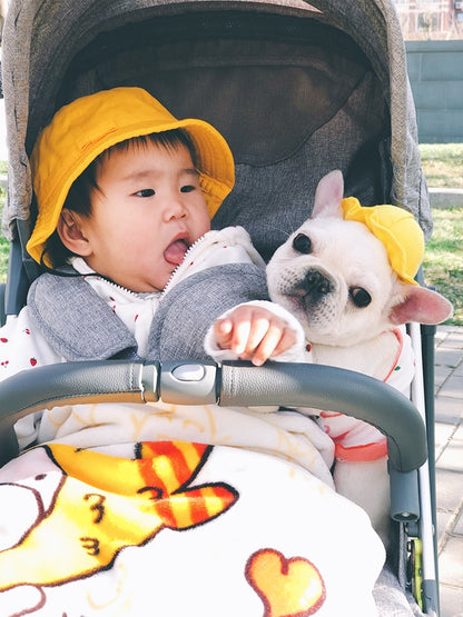 Pet cute fisherman hat