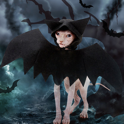 Disfraz de Murciélago con capucha para Gatos – Halloween Mascotas