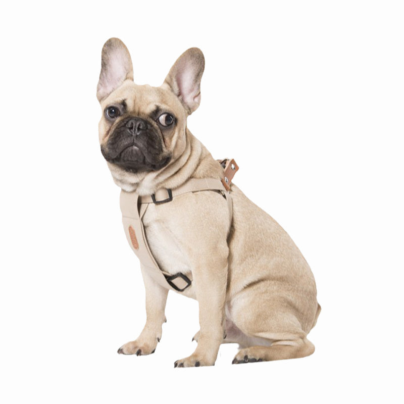 Pet Dog Soft Cotton Fashion Trendy Strap Hand Holding Rope Four Seasons Universal