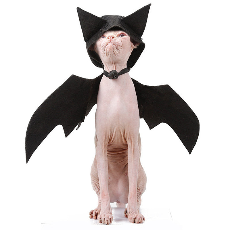 Disfraz de Murciélago con capucha para Gatos – Halloween Mascotas