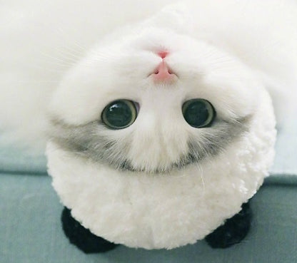 Panda costume pet hat