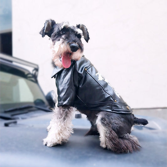 SkatePaw™ - Chaqueta urbana de cuero sintético para perros
