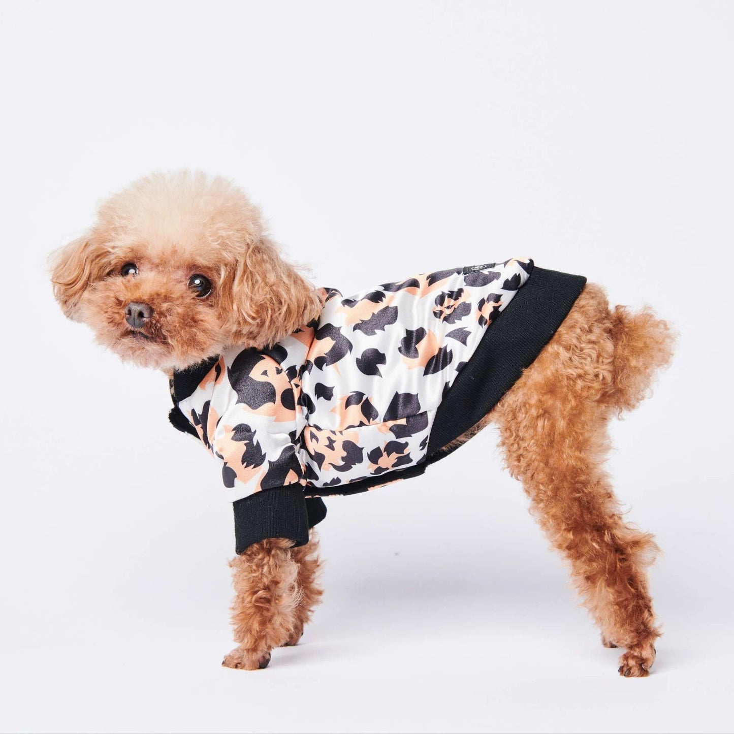 Autumn And Winter Warmth Trendy Brand Dog Cotton-Padded Clothes