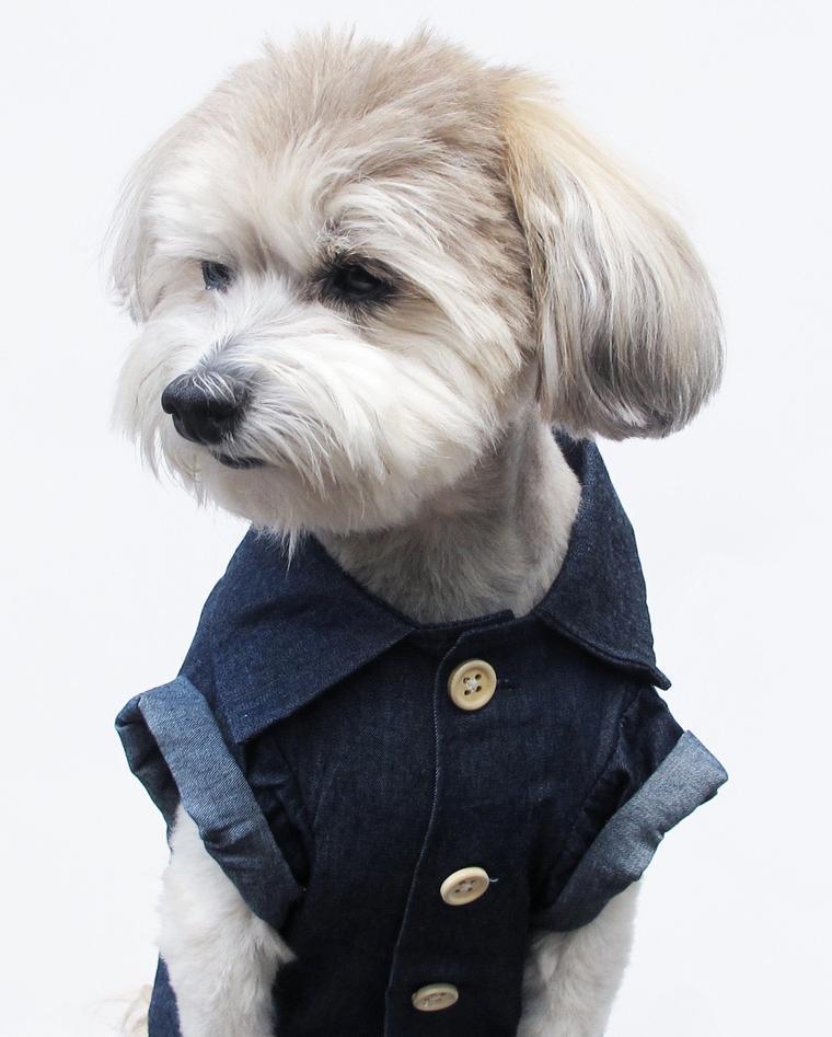 Outfits Summer Pet Printed Clothes for Small Dogs Fashion Cotton