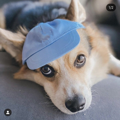 Net Red Pet Baseball Cap Teddy Schnauzer Pet Hat