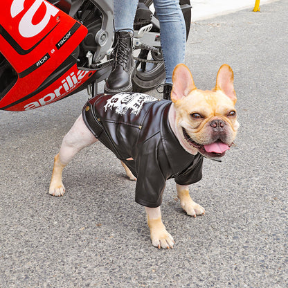 Rider Dog Jacket™ – Chaqueta Motera para Perros