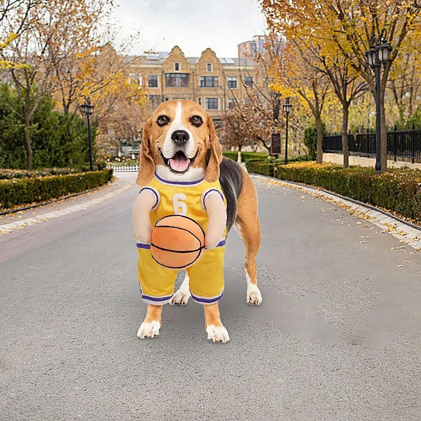 Disfraz de Jugador de Baloncesto para Perros - Halloween y Eventos