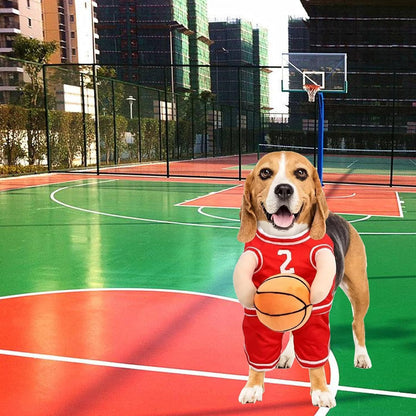 Disfraz de Jugador de Baloncesto para Perros - Halloween y Eventos