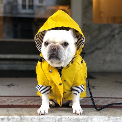 Yellow Raincoat™ – Impermeable para perros