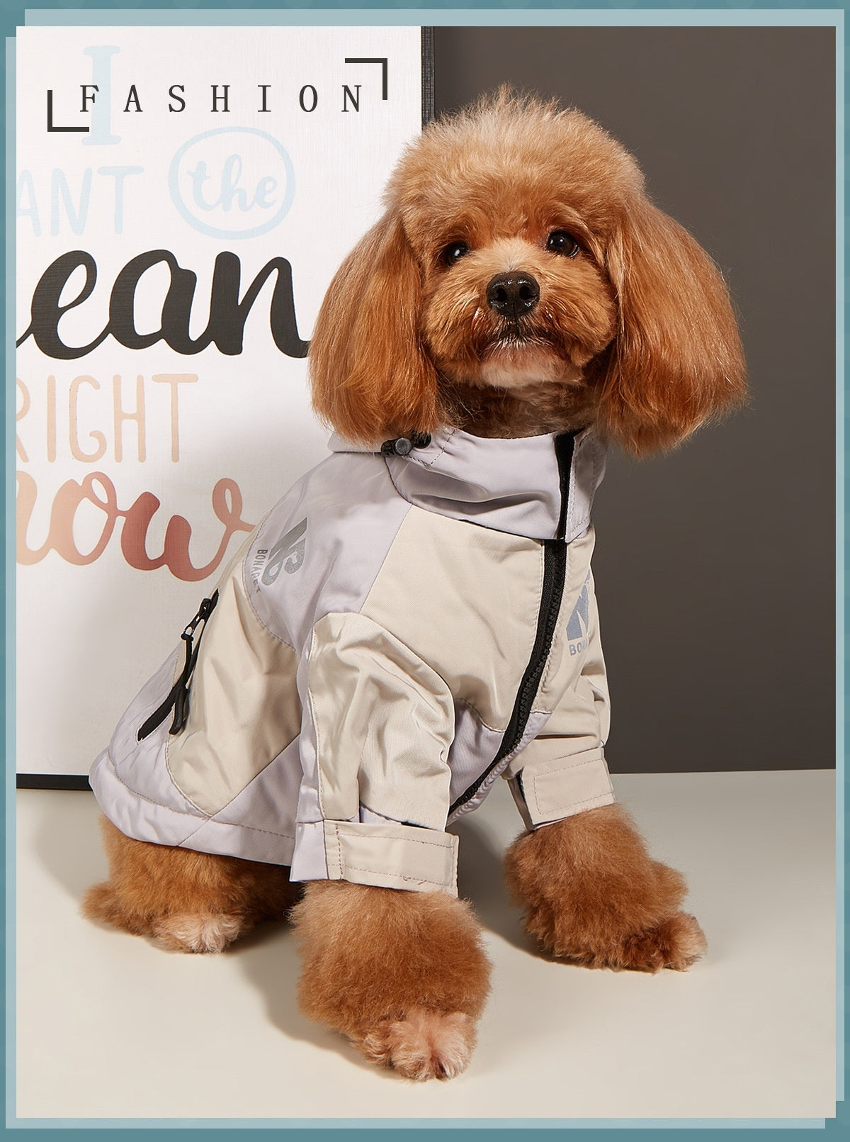 Dog Clothes Jacket Autumn And Winter Waterproof Warm Raincoat