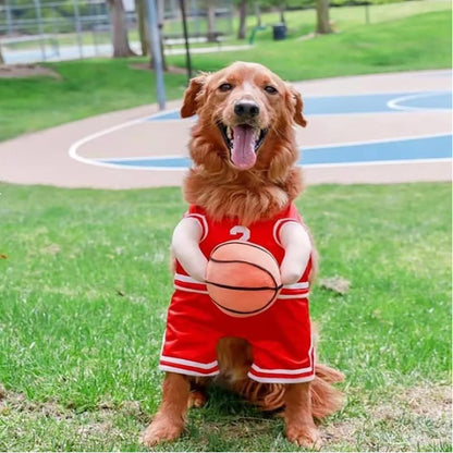 Disfraz de Jugador de Baloncesto para Perros - Halloween y Eventos