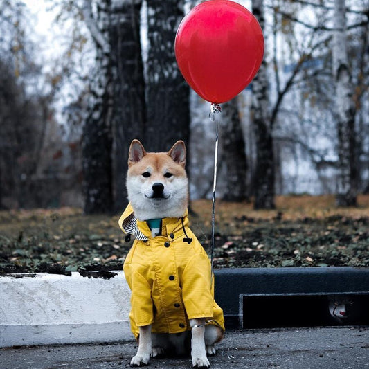 Yellow Raincoat™ – Impermeable para perros