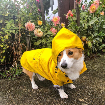 Yellow Raincoat™ – Impermeable para perros