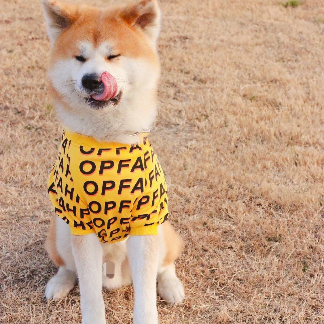 Fashion Simple Pet Letter Print T-shirt