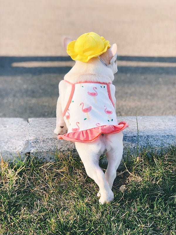 Pet cute fisherman hat