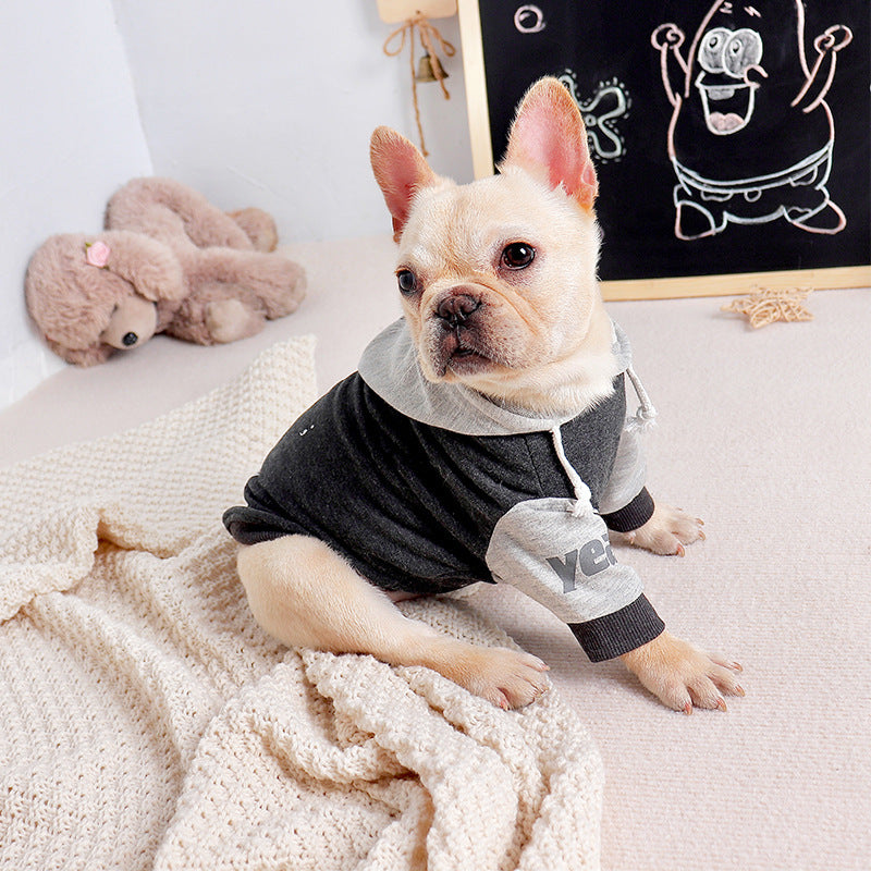 Pet Dog Fashion Sweater Two-legged Clothes
