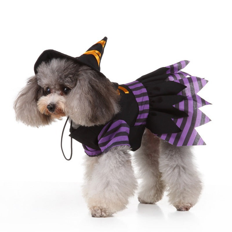Disfraz de Brujita para Perros y Gatos — Halloween Edition