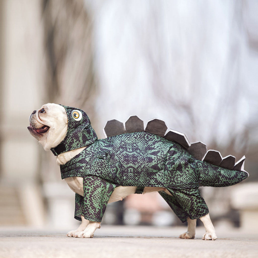 Disfraz de Dinosaurio para Perros | Ropa Halloween Mascotas