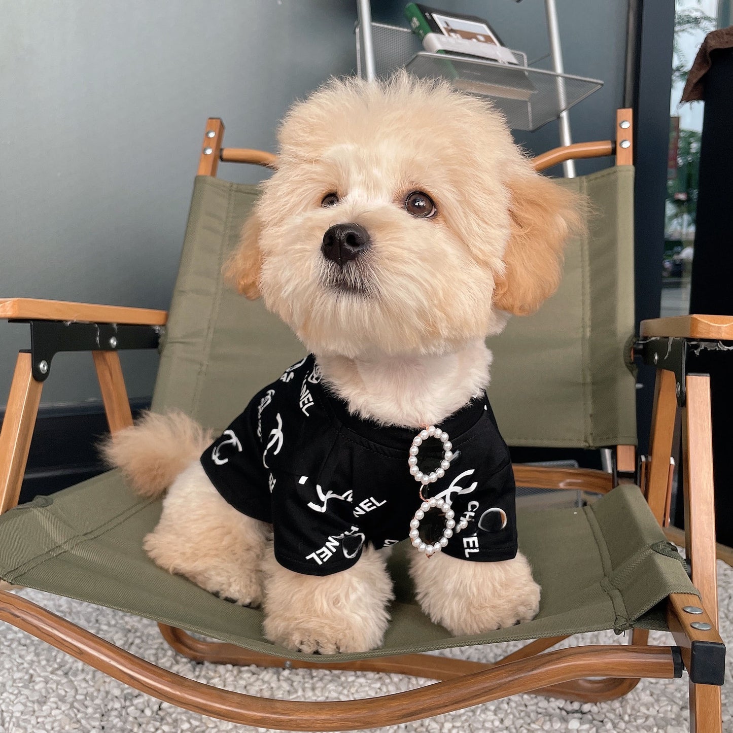 Gafas Perla Brava™ - Gafas de sol para mascotas