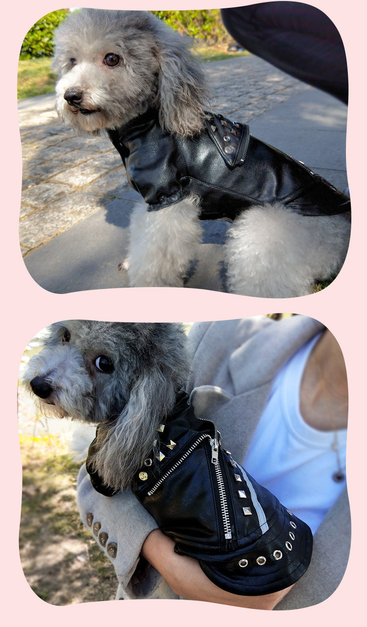 Garra Urban™ - Cazadora de cuero para mascotas