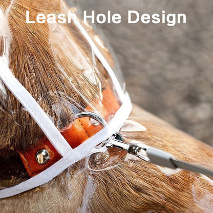 Pet Raincoat Transparent Dog