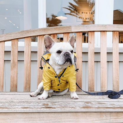 Yellow Raincoat™ – Impermeable para perros