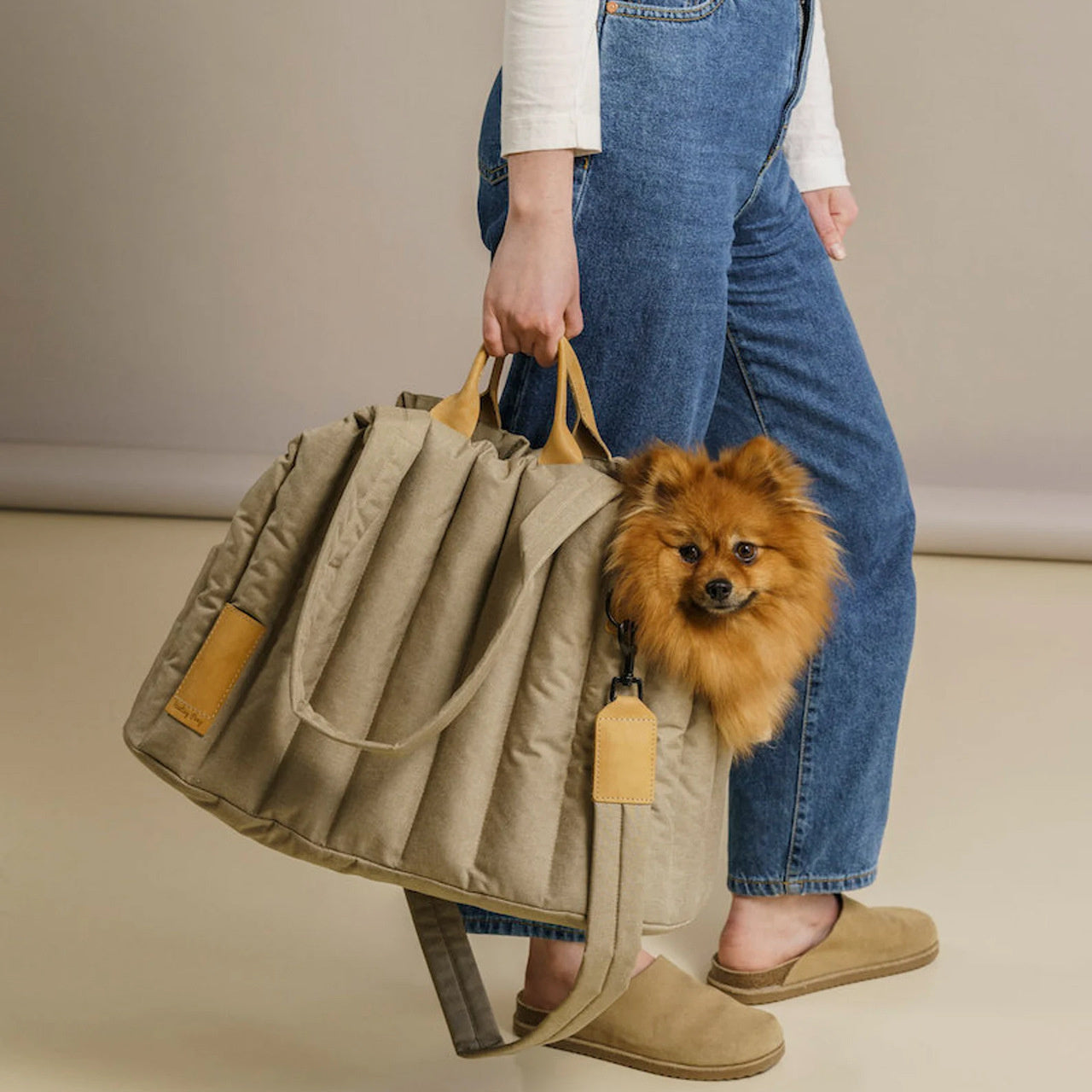 Garra Tote™ - Bolso de transporte para perros y gatos, ligero, impermeable y portátil