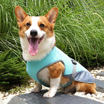 FreshWalk™ - Chaleco Refrescante para Perros