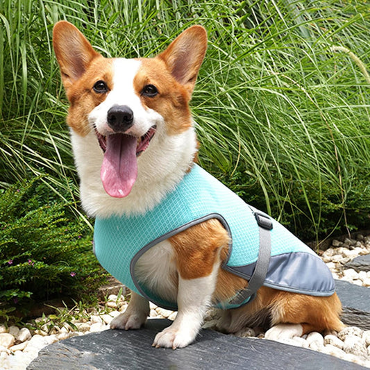 FreshWalk™ - Chaleco Refrescante para Perros