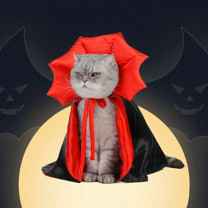 Disfraz de Vampiro para Gatos y Perros | Especial Halloween