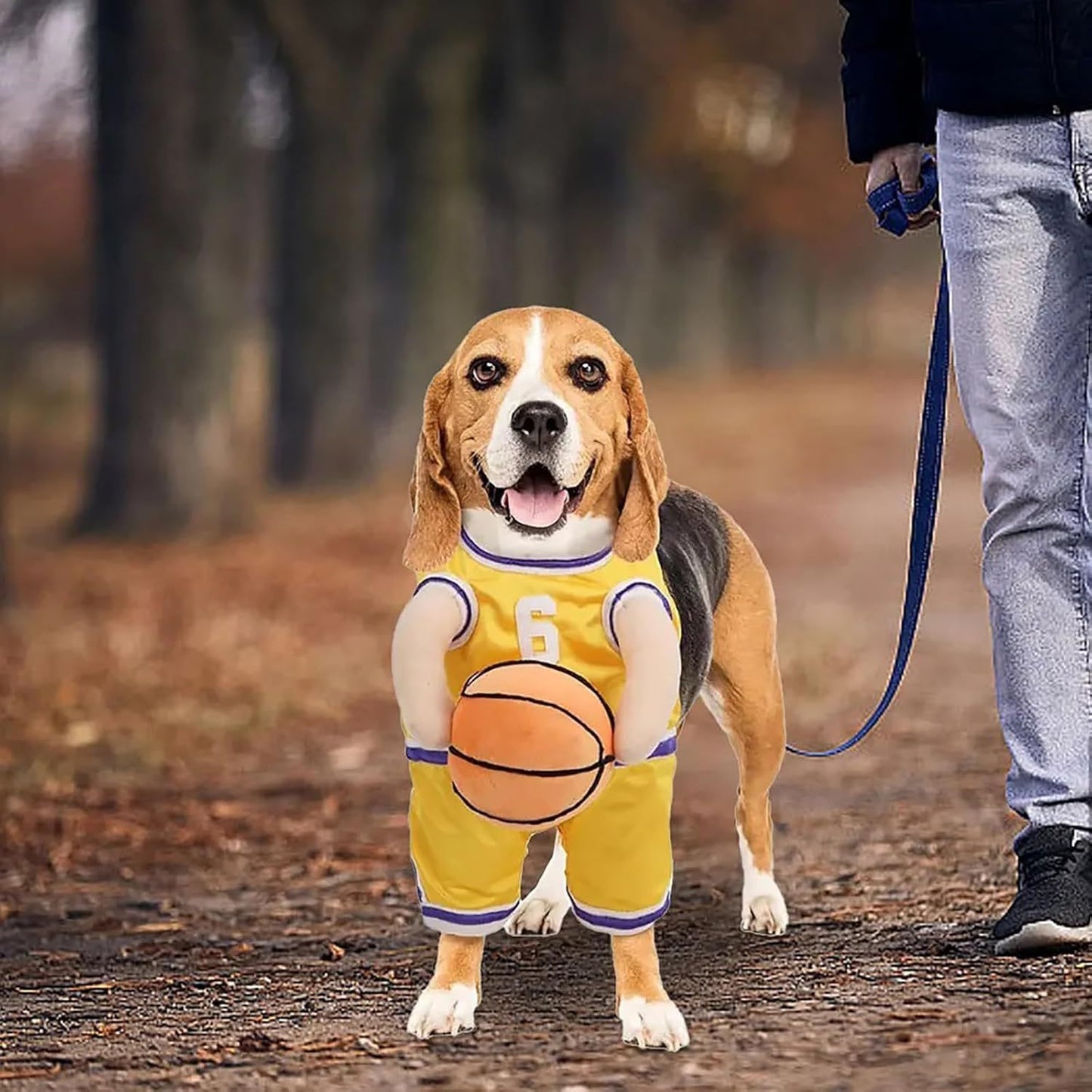 Disfraz de Jugador de Baloncesto para Perros - Halloween y Eventos