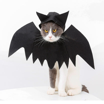 Disfraz de Murciélago con capucha para Gatos – Halloween Mascotas