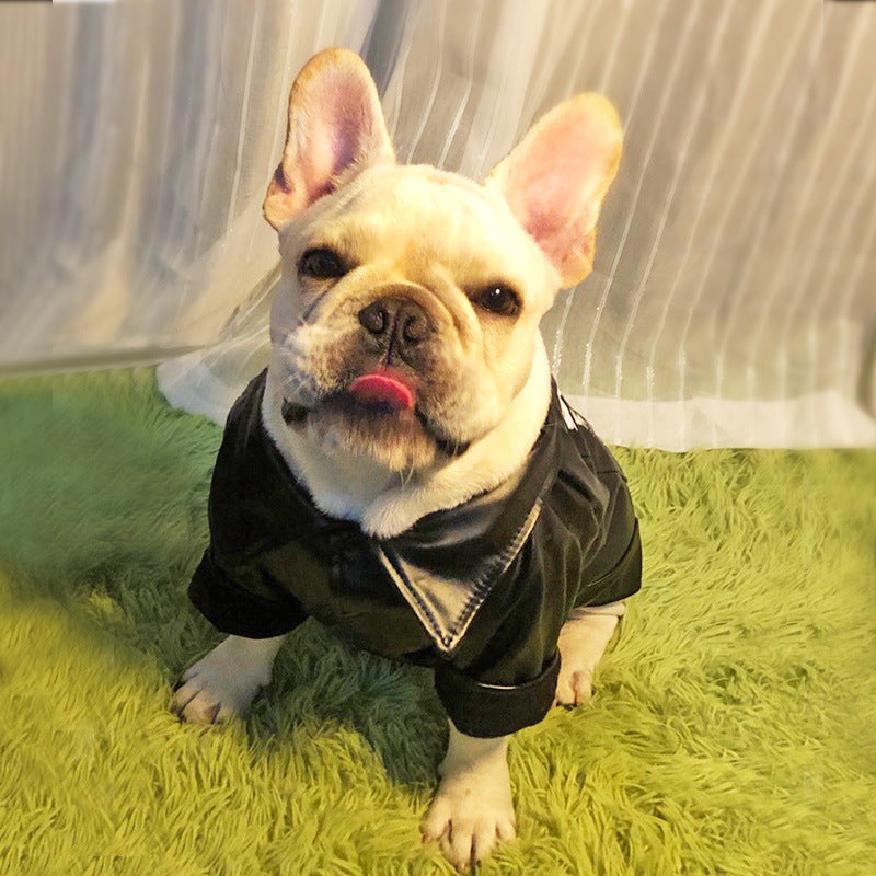 Rider Dog Jacket™ – Chaqueta Motera para Perros