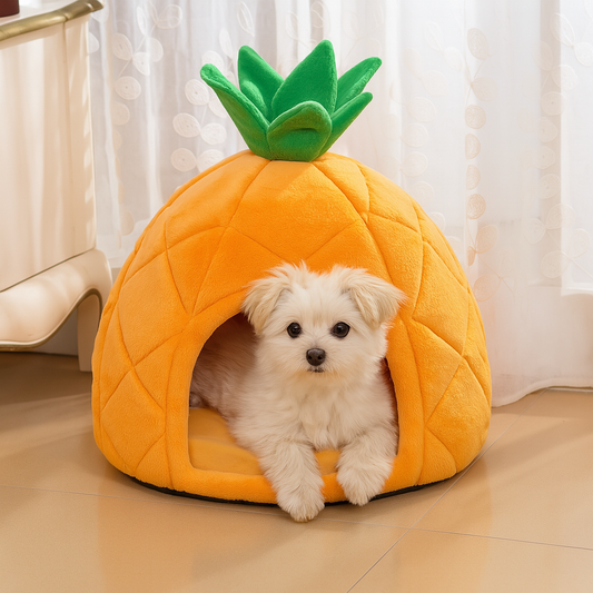 Garra Tropic™ - Cama para perros y gatos