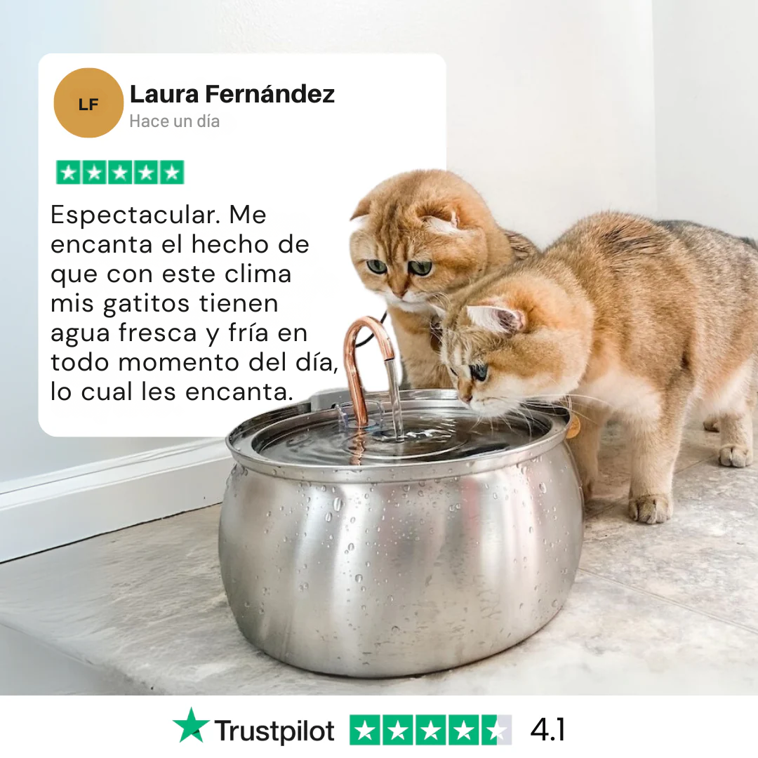 Copper Edition™ 4L – Fuente de agua para gatos y perros con tubo de cobre