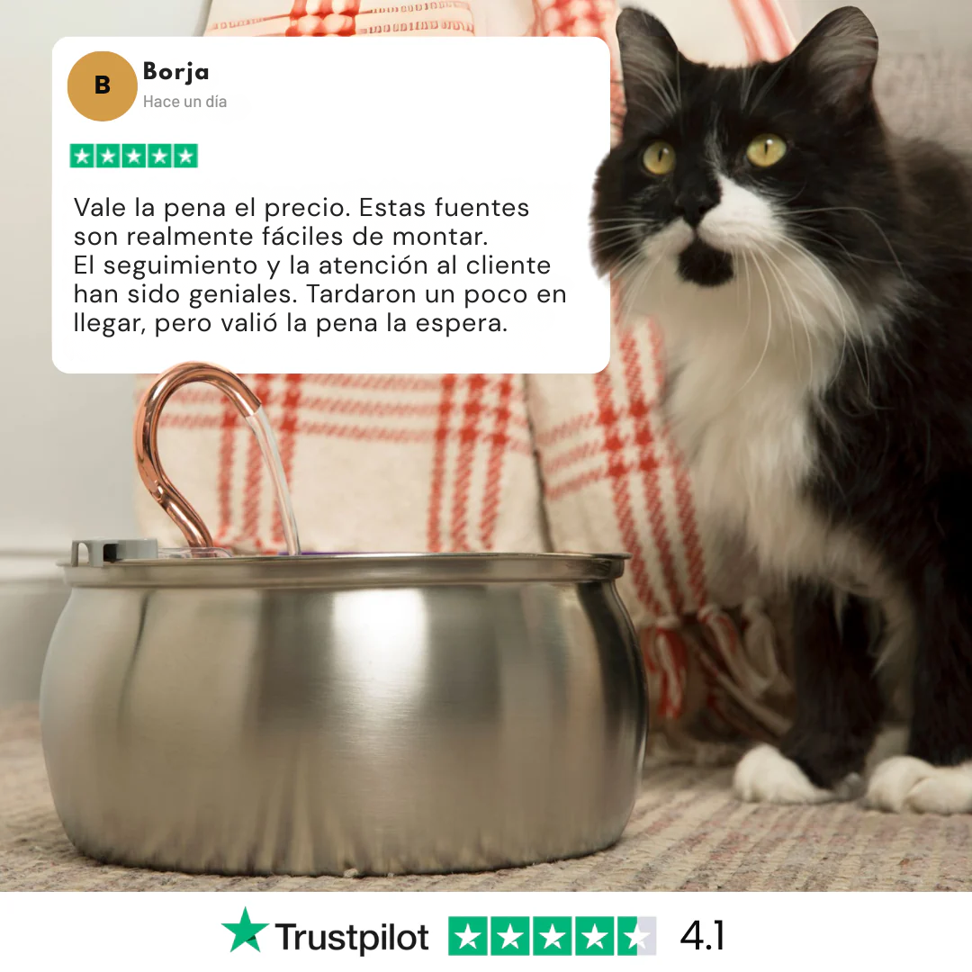 Copper Edition™ 4L – Fuente de agua para gatos y perros con tubo de cobre