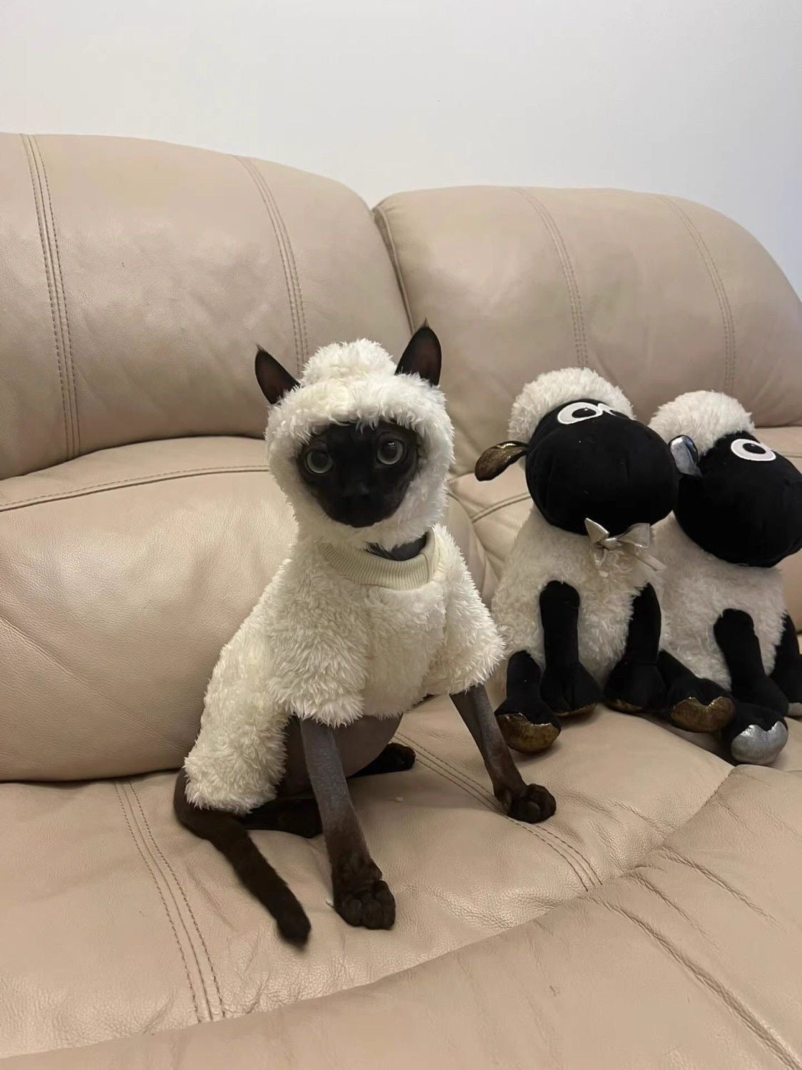 Selected Variant Image