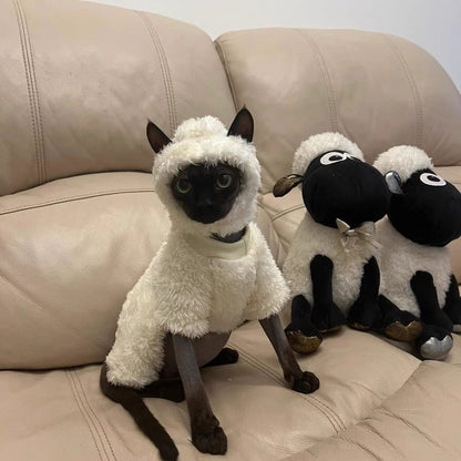 Disfraz de Oveja para Gatos - Especial Halloween