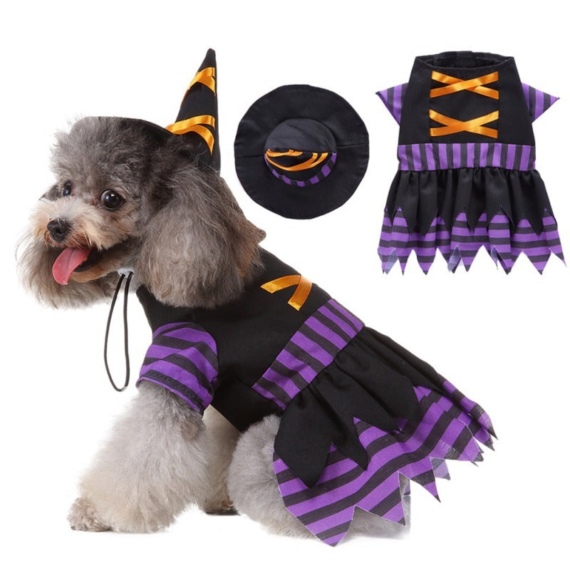 Disfraz de Brujita para Perros y Gatos — Halloween Edition