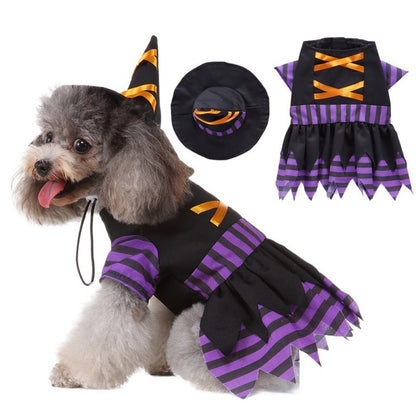 Disfraz de Brujita para Perros y Gatos — Halloween Edition