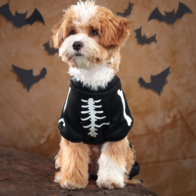 Disfraz de Esqueleto Fosforescente para Perros - Halloween Divertido